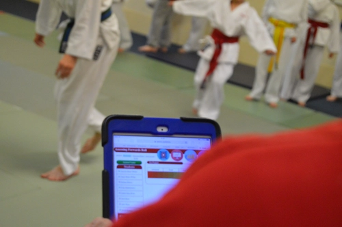 Software development